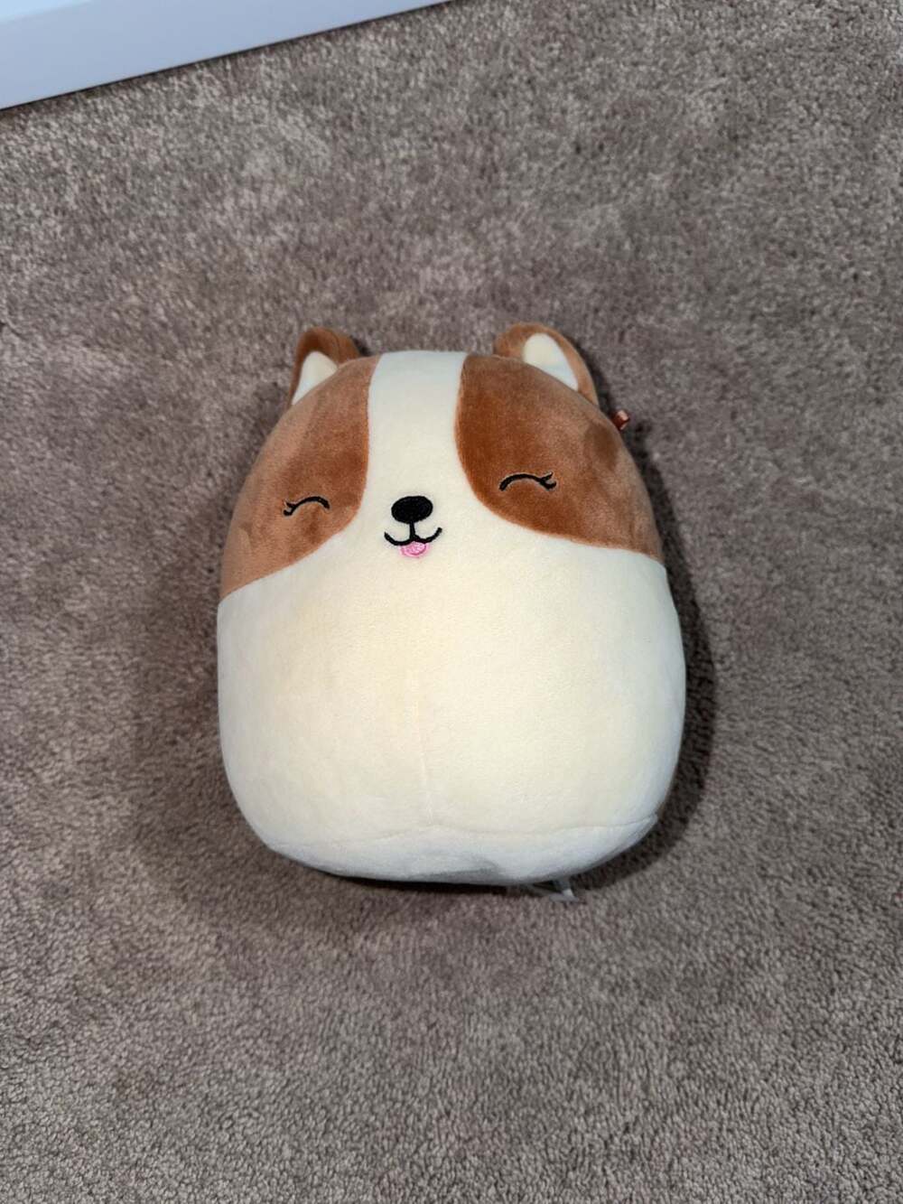 Squishmallows Corgi Dog Plush Toy